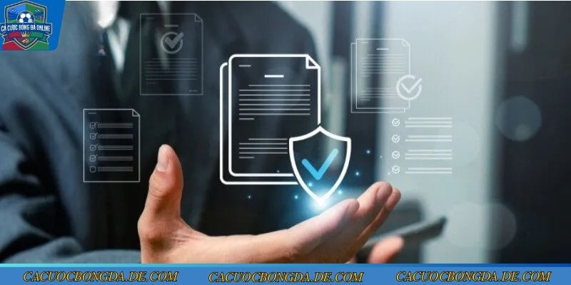 Thông tin về điều khoản điều kiện độ tuổi hợp pháp