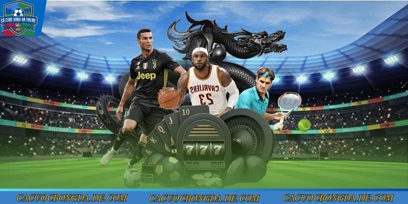 King88 điểm giải trí xanh chín số 1 Châu Á