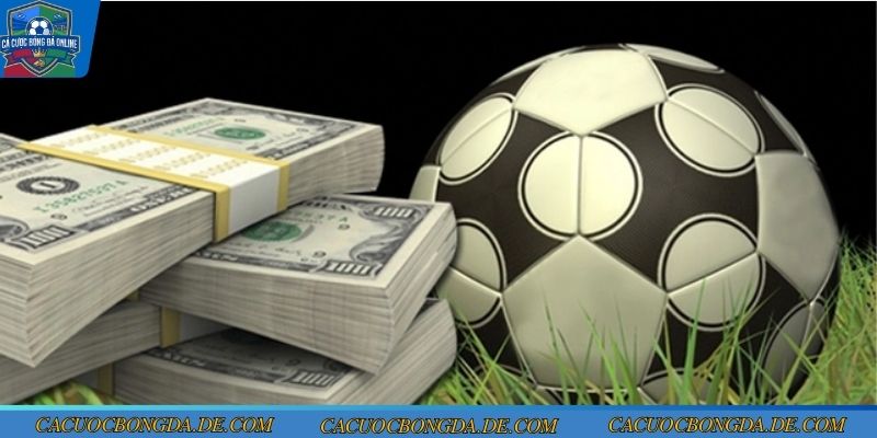 Quy trình phân tích cách soi kèo bóng đá