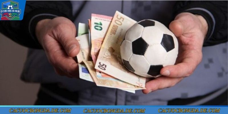 Thông tin về cách Chelsea vs West Ham vòng 24 ngoại hạng anh 2025/2026