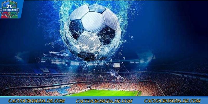 Thông tin soi kèo Liverpool vs Newcastle vòng 24 ngoại hạng anh 2025/2026