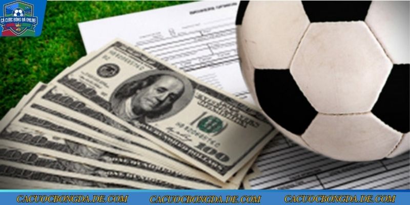 Thông tin về soi kèo Mu vs Wolves vòng 24 Ngoại hạng Anh 2025/2026