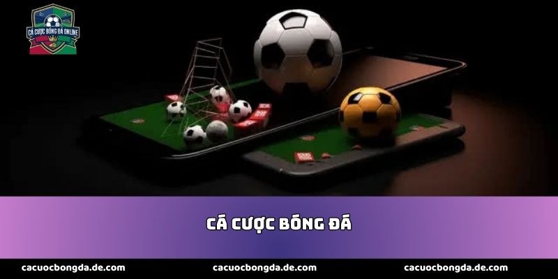ca-cuoc-bong-da-de-com