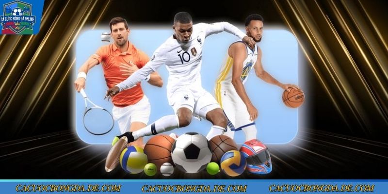 Thông tin giới thiệu kèo Châu Á đình đám