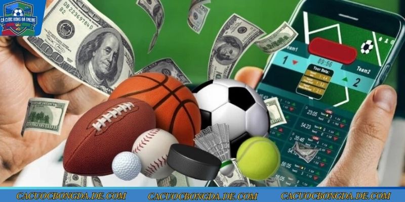 Thông tin giới thiệu kèo hòa ngoại trừ