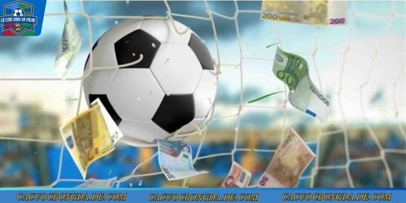 SHbet là sân chơi giải trí được săn đón rầm rộ tại 2026