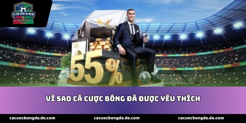 vi-sao-ca-cuoc-bong-da-duoc-yeu-thich
